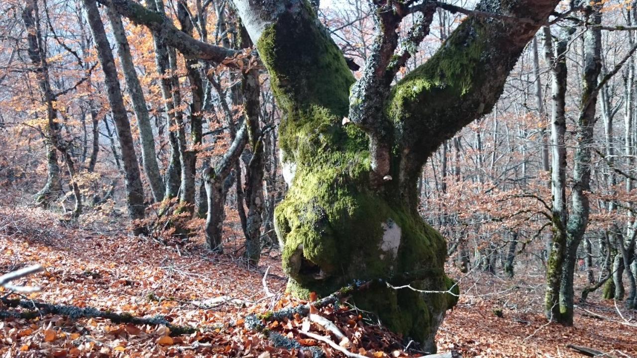 Casa de Campo Estrella Rural En La Sierra De Madrid *