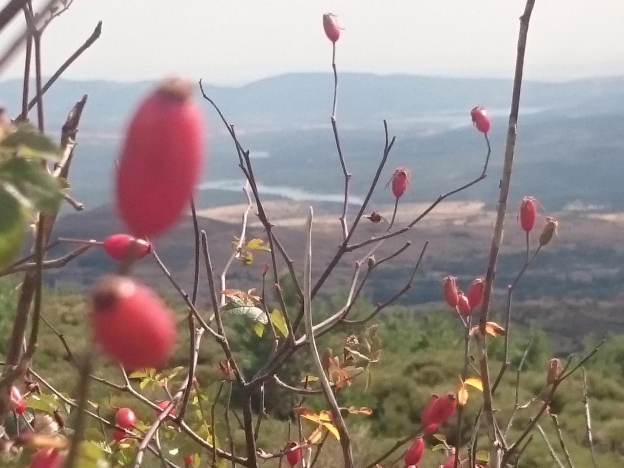 Casa de Campo Estrella Rural En La Sierra De Madrid Buitrago del Lozoya
